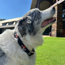 Load image into Gallery viewer, Smathers & Branson Swinging Pete Dog Collar