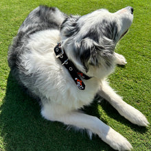Load image into Gallery viewer, Smathers & Branson Swinging Pete Dog Collar